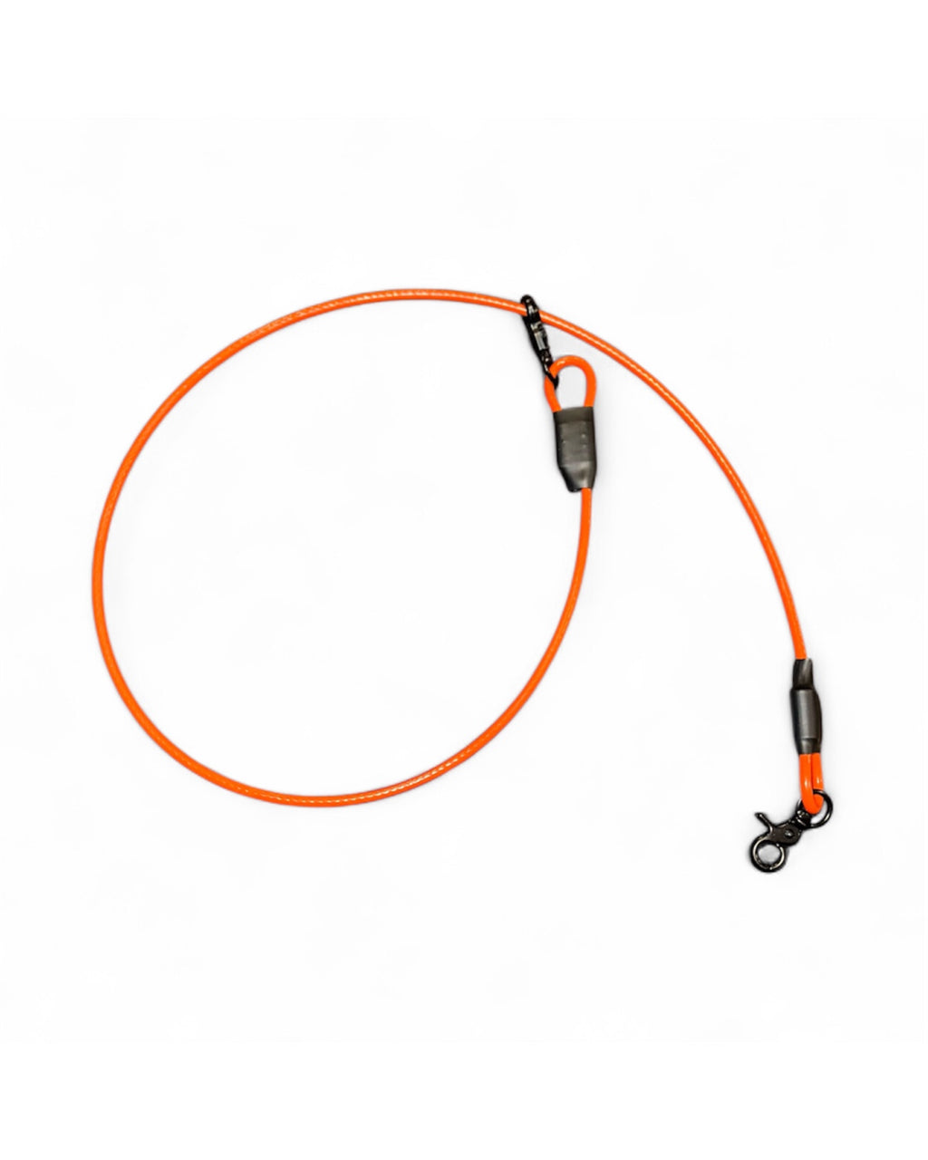 FCS Dog Tie/Leash